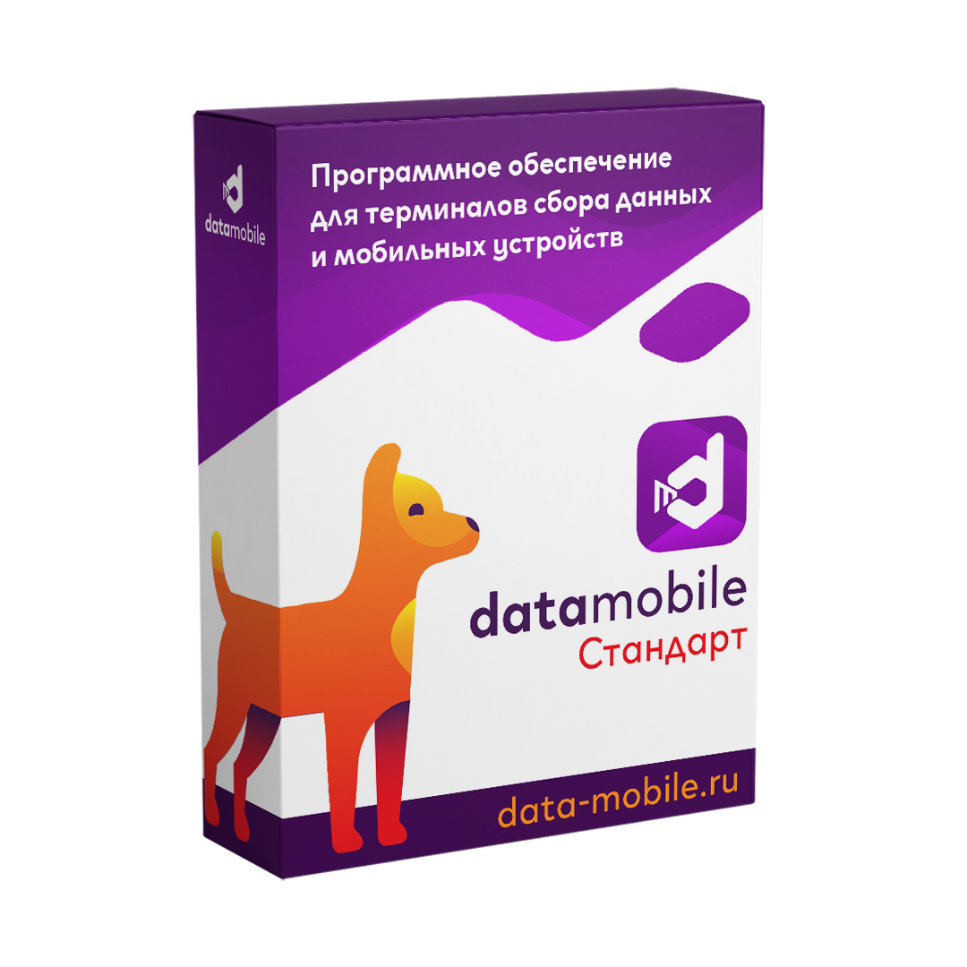 DataMobile, Standard versiyasi